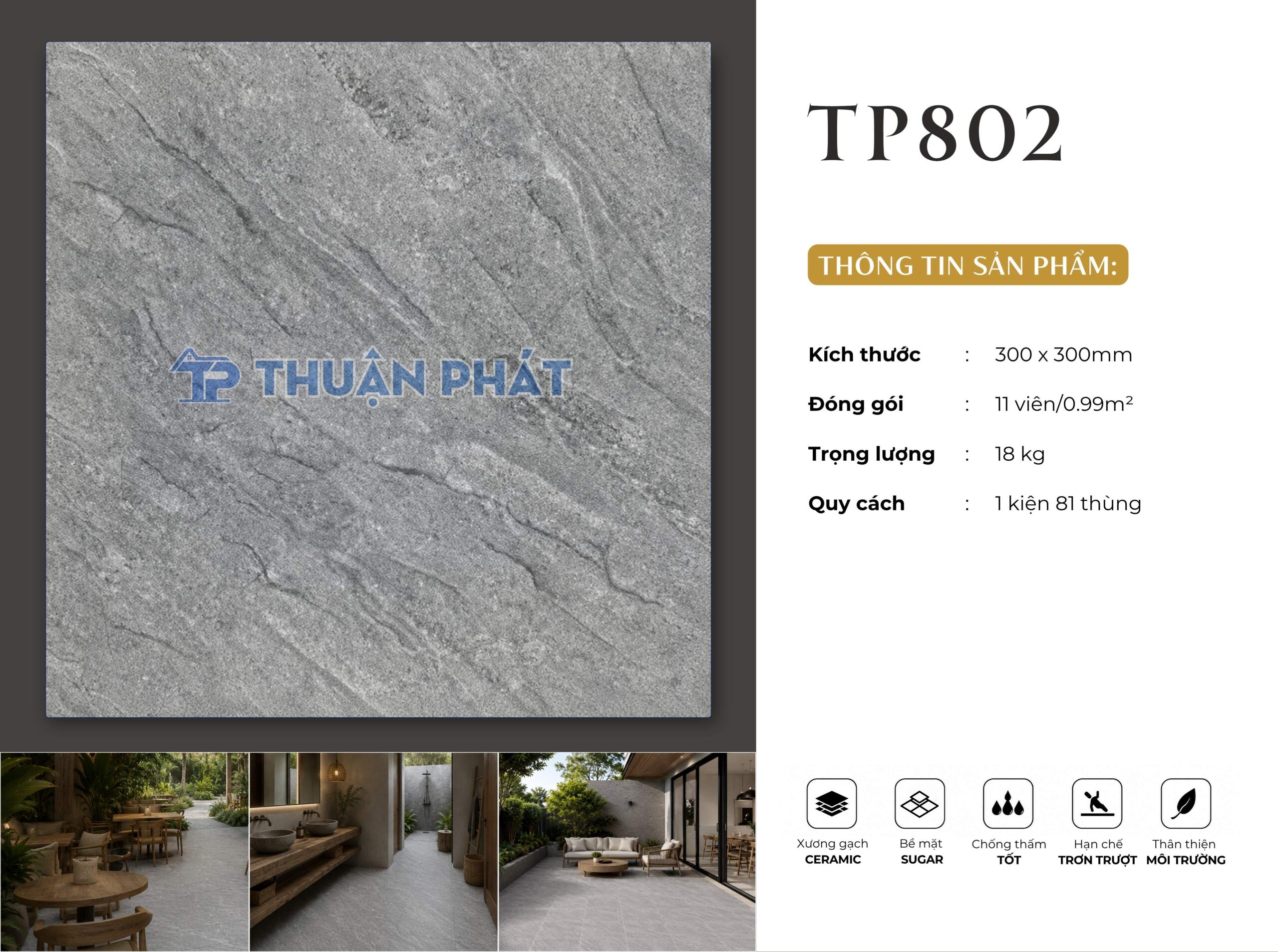 TP802
