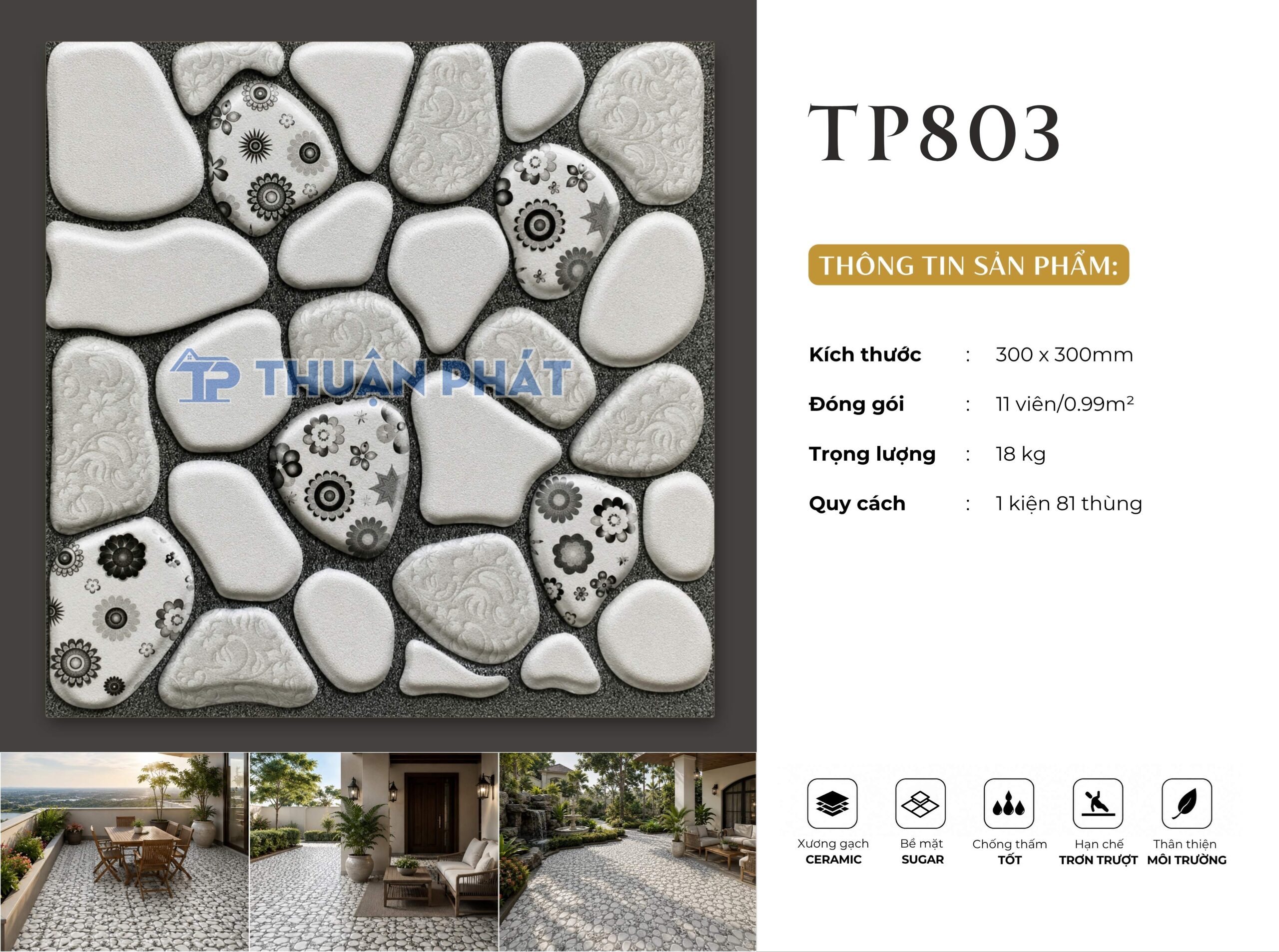 TP803