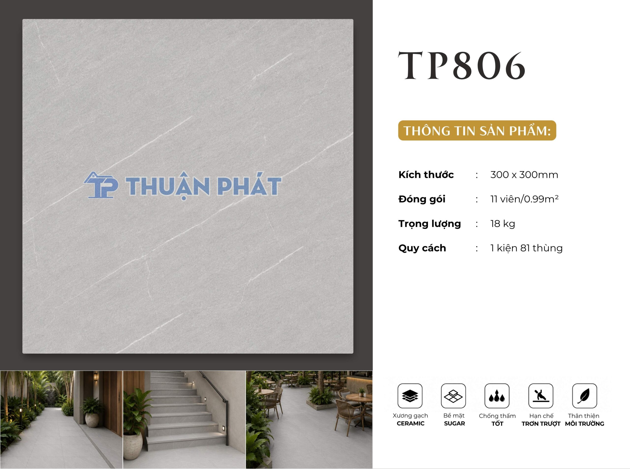 TP806