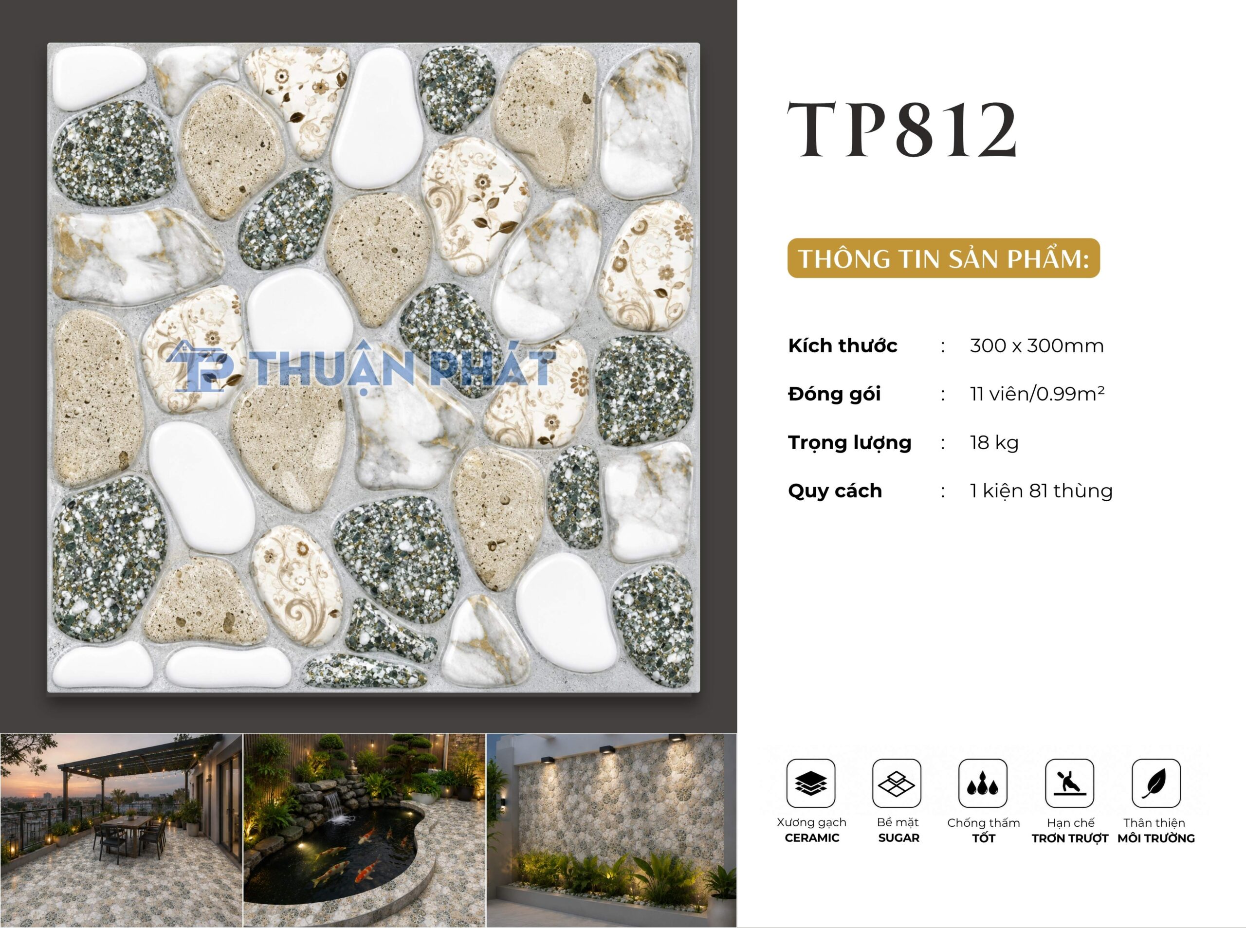 TP812